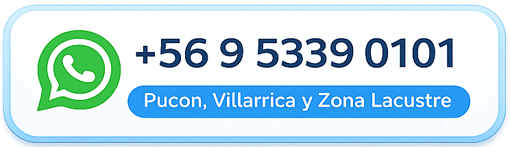 whatsapp2 digitalplus (1)